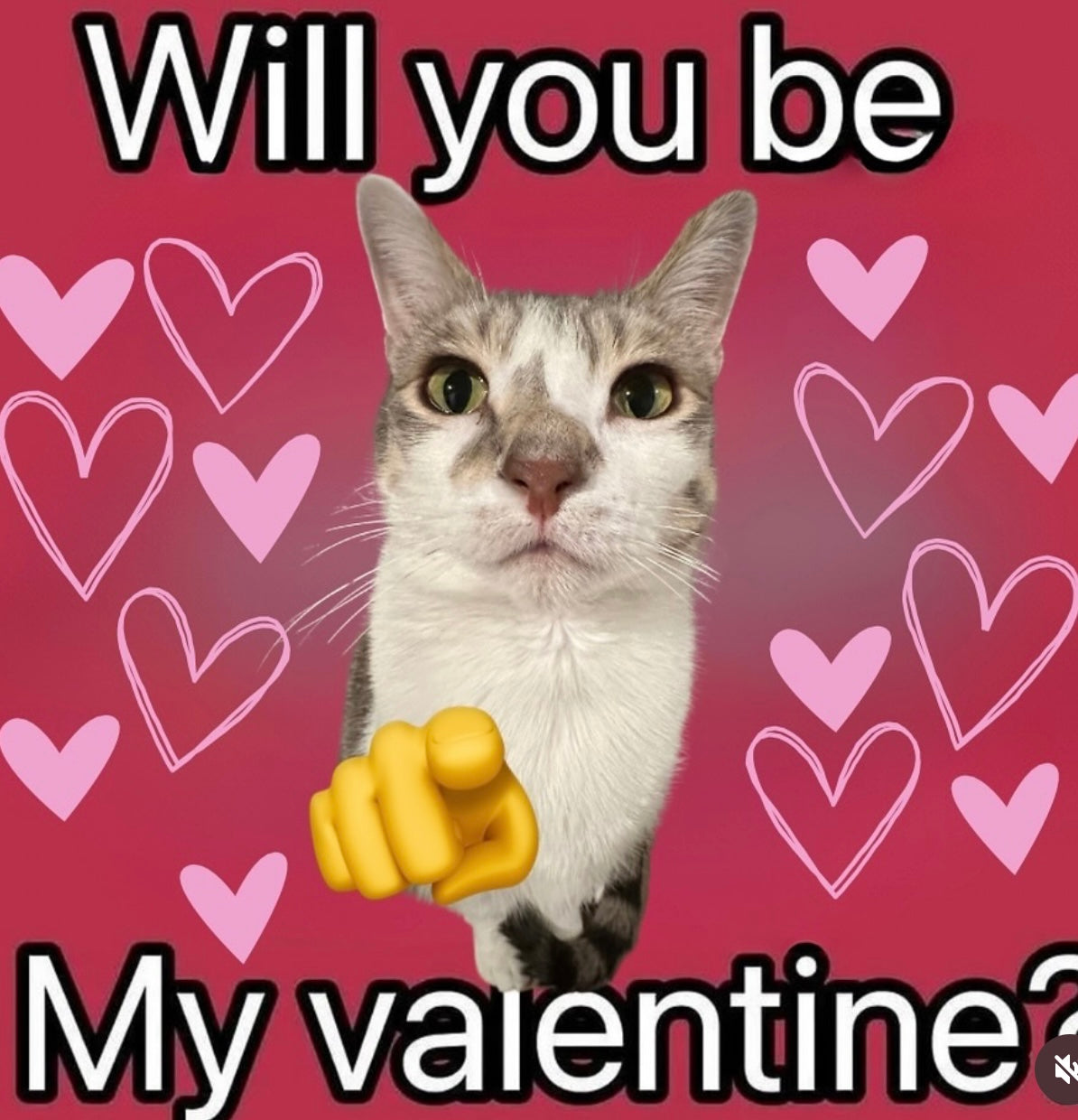 Mystery Patch VDAY 2024 (0perati0n cr0ssr0ads)