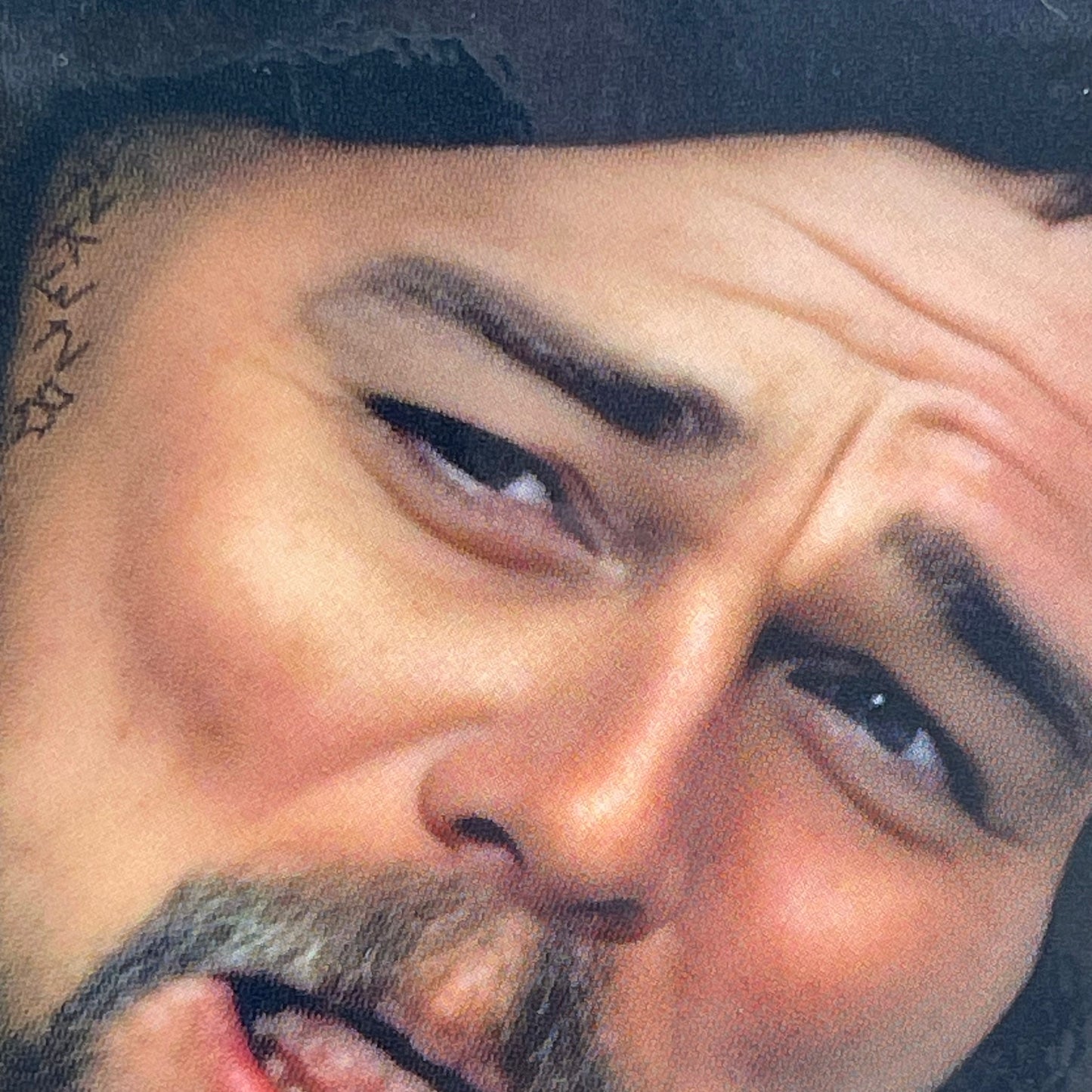Dirka DiCaprio Sticker HIVIS
