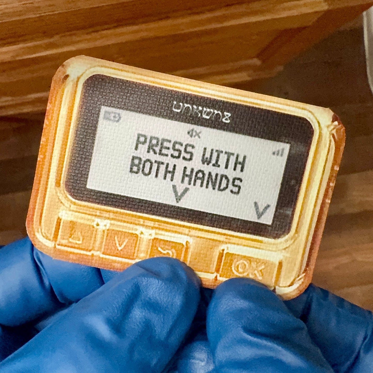 When In The MotherLand